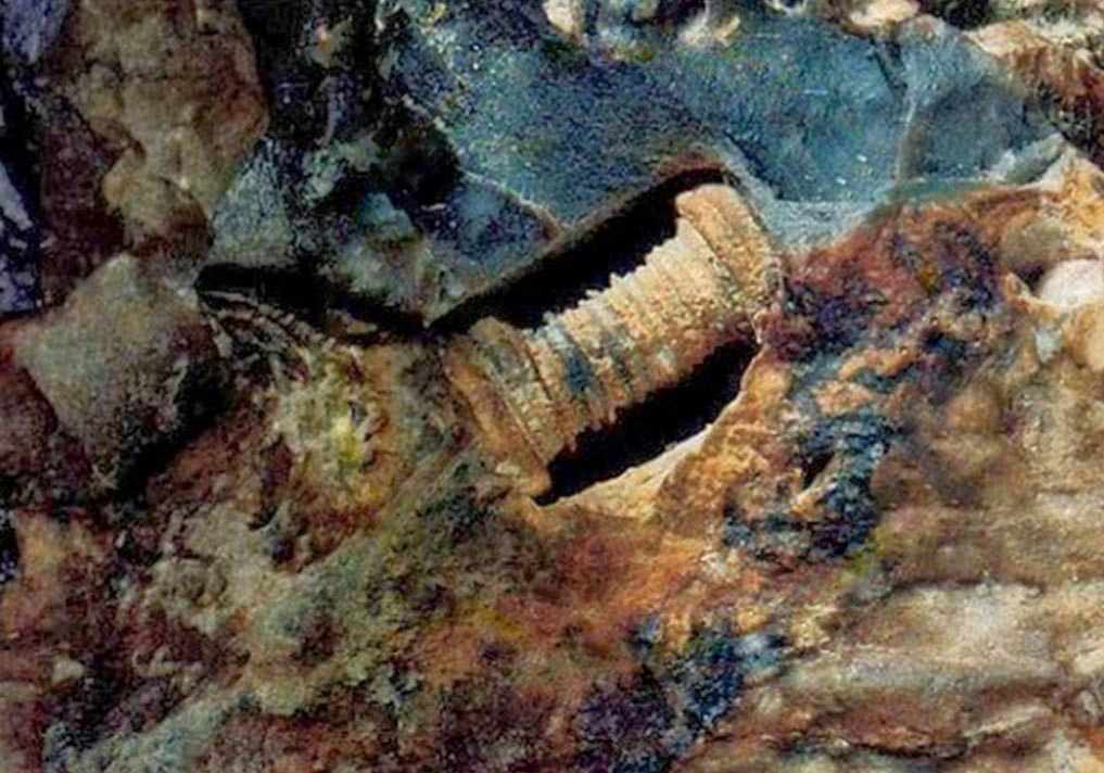 Is this a 300-million-year-old screw embedded into a limestone rock or just a fossilized sea creature? 2