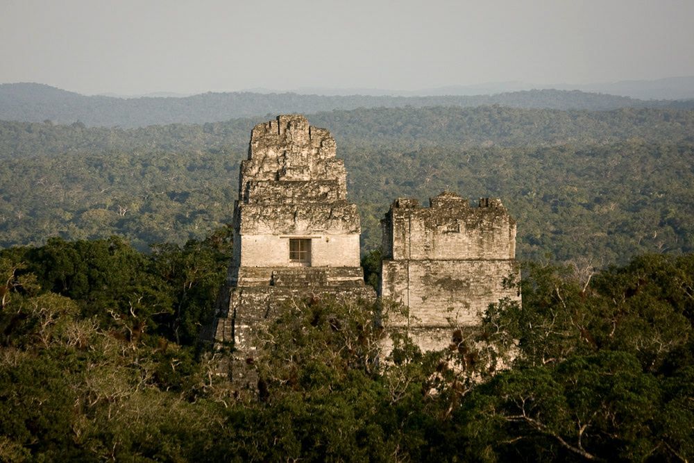 The Mayans of Tikal used a highly advanced water purification system 4