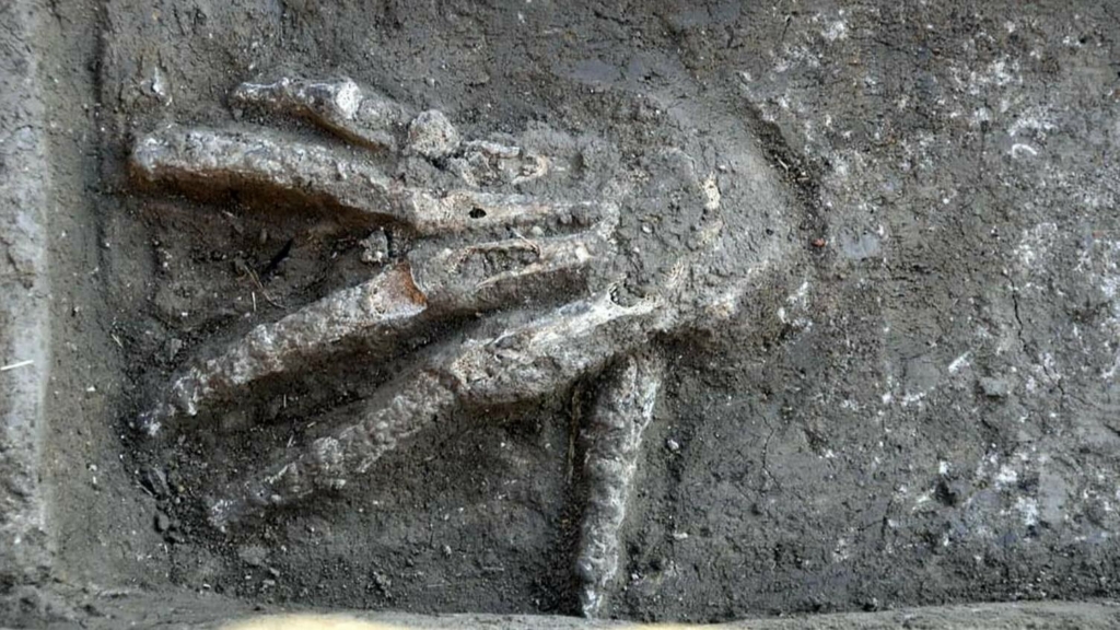 Pozos de 3600 años llenos de manos gigantes descubiertos en Egipto 3