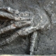 3600-year-old pits full of giant hands discovered in Egypt 6