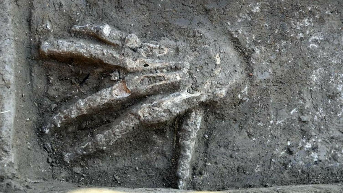 Des fosses de 3600 ans pleines de mains géantes découvertes en Égypte 10