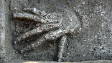 3600-годишни ями, пълни с гигантски ръце, открити в Египет 10