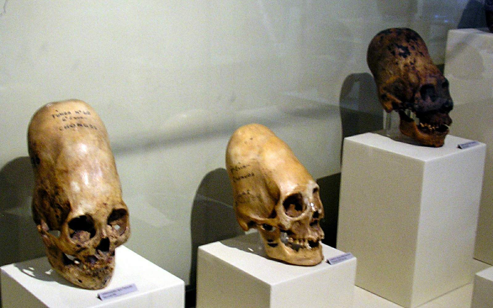 12,000 yıl önce Çin'de yumurta kafalı gizemli insanlar yaşıyordu! 2