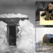 在北極和南極的永恆冰層中做出的 10 個最神秘的發現 1