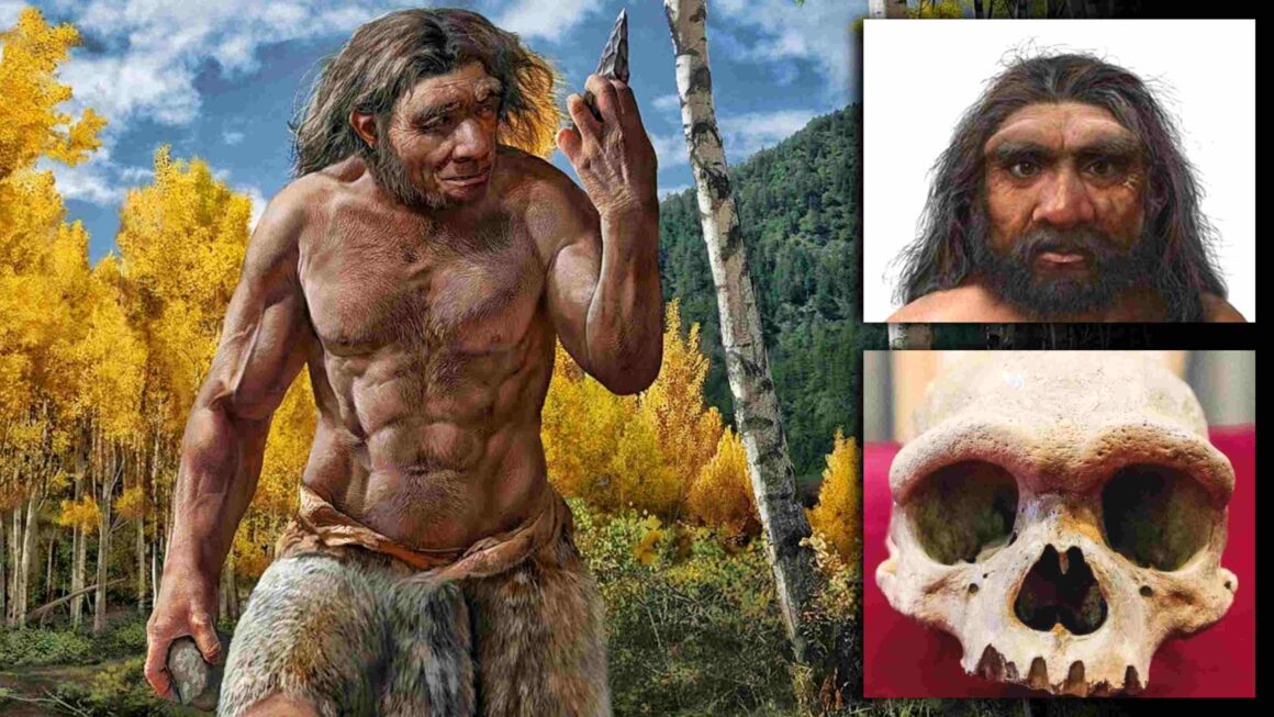 De 'Dragon Man' Fossil kéint den Neanderthaler ersetzen als eisen nooste Famill 7
