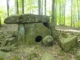 A rare dolmen, cuius cortex memoriae traditur
