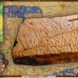 120 miljoen jaar oude kaart gevonden