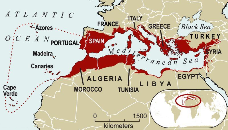 Mapa físico y político de la cuenca mediterránea.