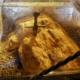ნამდვილი ისტორია ამ მე -12 საუკუნის ლეგენდარული მახვილის უკან, სან გალგანოს ქვაში 5