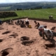 Archaeologists have discovered the origin of a well-known Stone Age monument 13