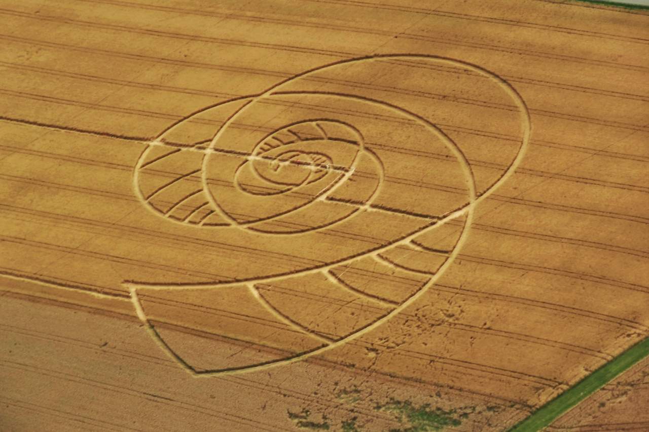 Crop Circles được tạo ra bởi người ngoài hành tinh ?? 1