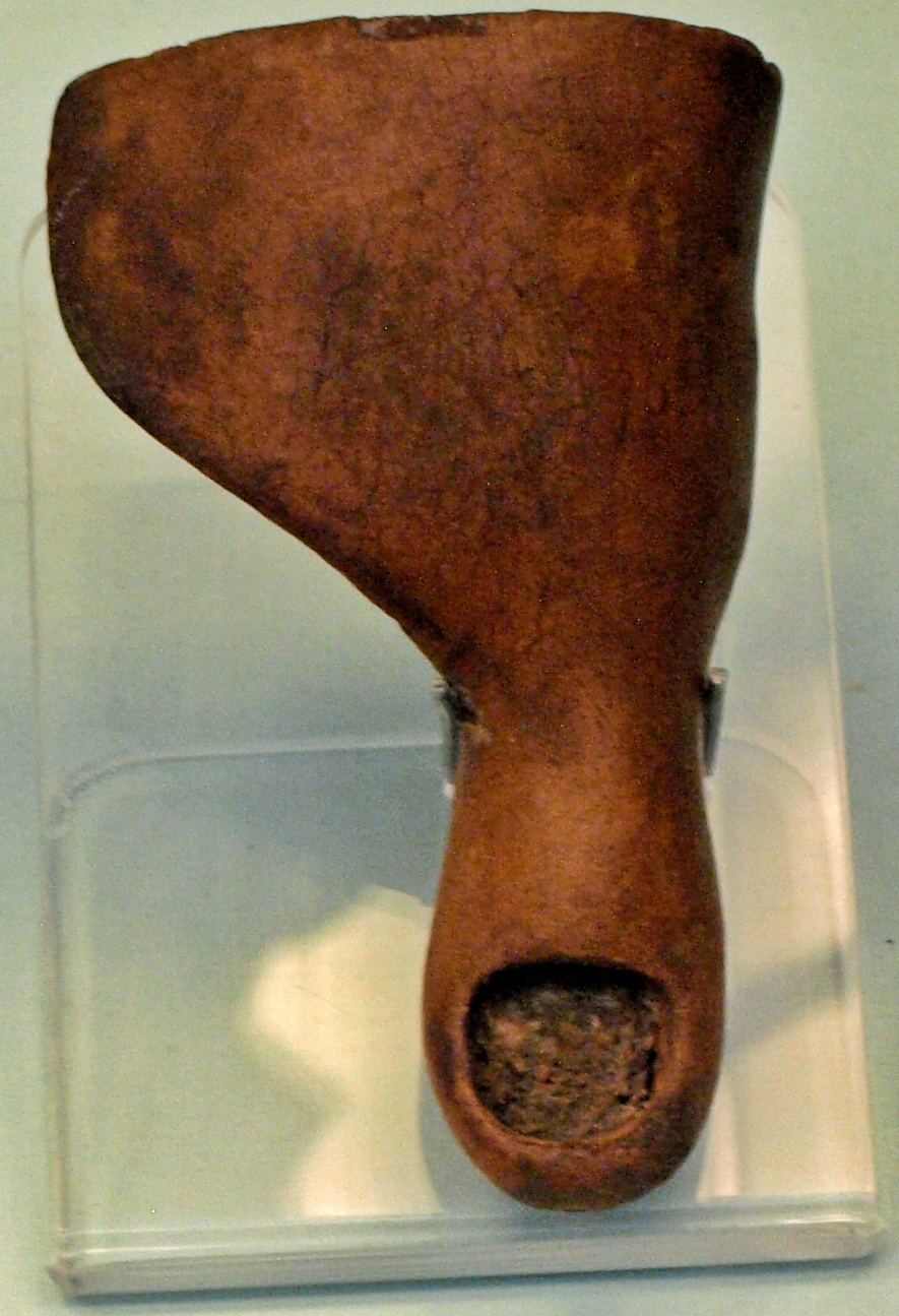 Protetická noha