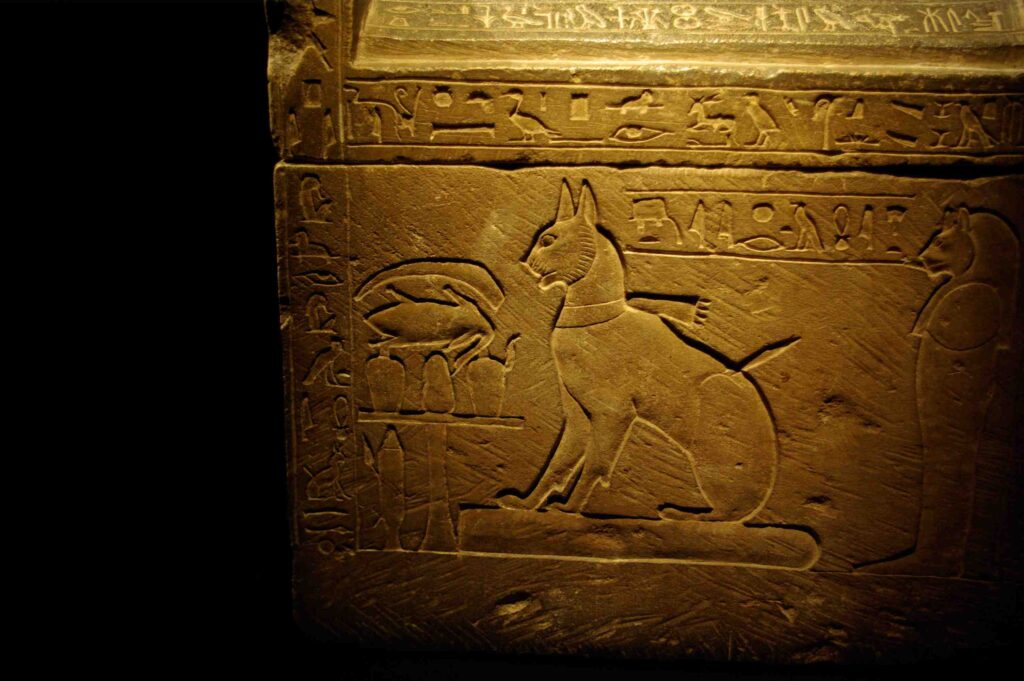 为什么猫在古埃及是神圣的？ 3
