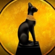 Why were cats sacred in ancient Egypt? 1