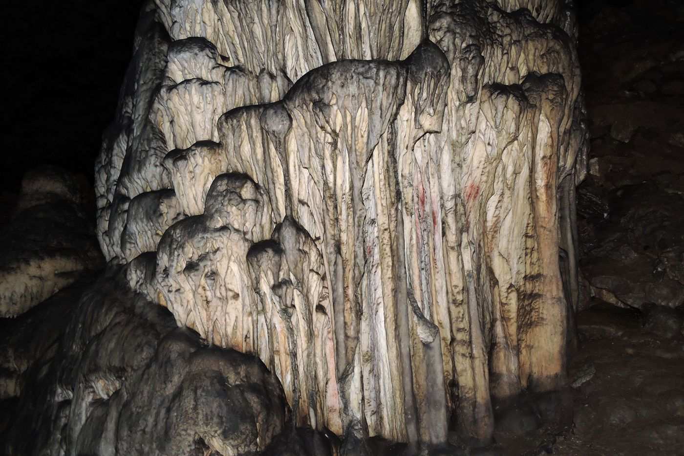 네안데르탈인 동굴 벽화 발견