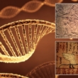 Have scientists finally decoded the ancient knowledge of how to change the human DNA? 2