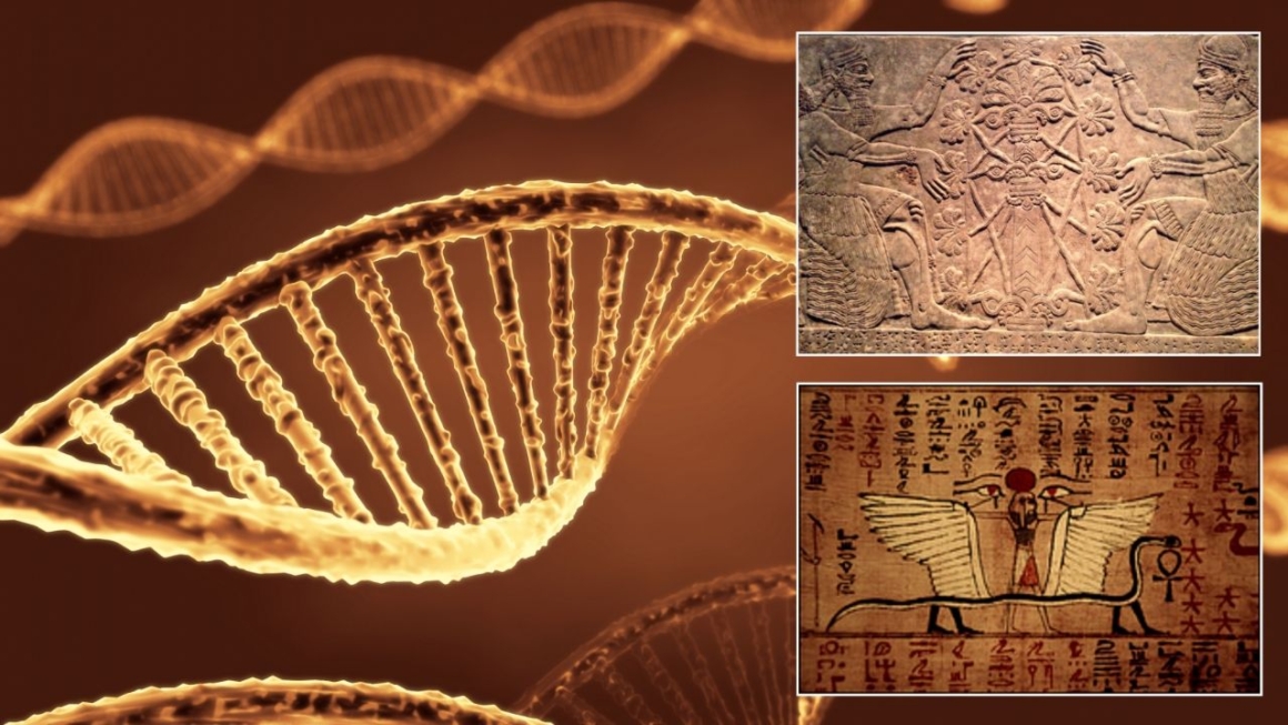 Have scientists finally decoded the ancient knowledge of how to change the human DNA? 3