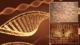 Декодирали ли са най -накрая древните знания за това как да променят човешката ДНК? 4