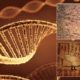 Have scientists finally decoded the ancient knowledge of how to change the human DNA? 10