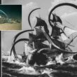 Could Kraken really exist? Scientists sank three dead alligators deep into the sea, one of them left behind only scary explanations! 4