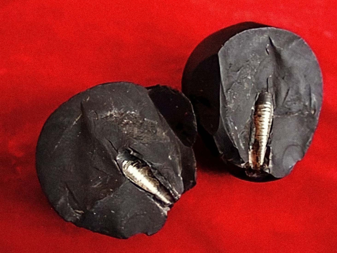 The Lanzhou Stone: This uncommon stone from a collector in Lanzhou drew enormous attention from many experts and collectors. The stone was imbedded with a screw-threaded metal bar and is suspected of being from outer space.