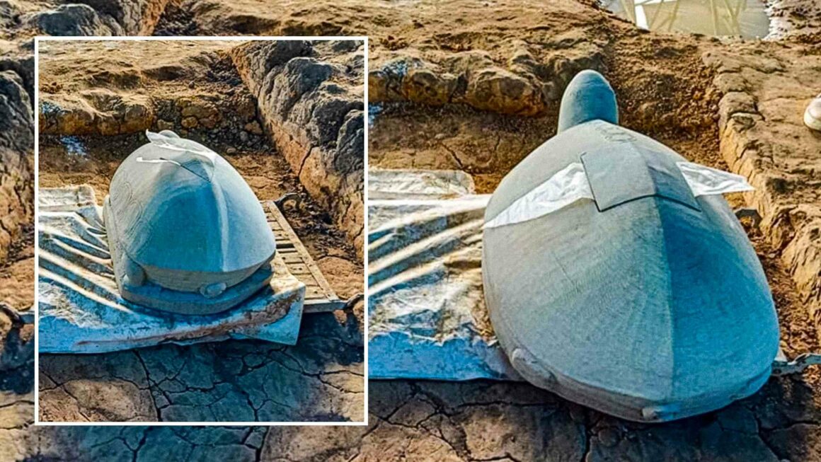अंगकोर जलाशय स्थल से खोदा गया नक्काशीदार पत्थर का कछुआ 16