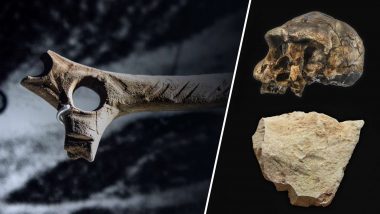 ابزارهایی که به قبل از اولین انسان ها می رسند - یک کشف مرموز باستان شناسی 4
