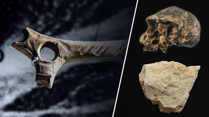 Tools that predate the first humans – a mysterious archaeological discovery 1