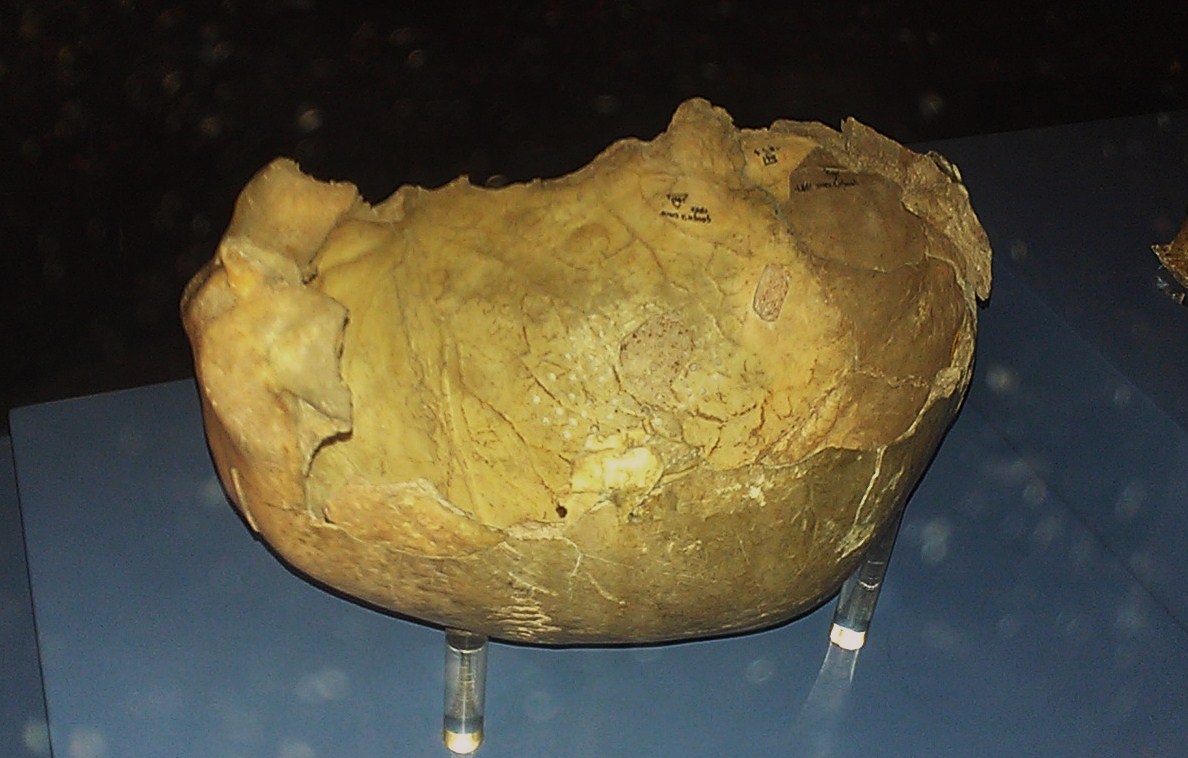 A 9,000 éves „Cheddar Man” ugyanazon a DNS-en osztozik, mint az angol történelemtanár! 5