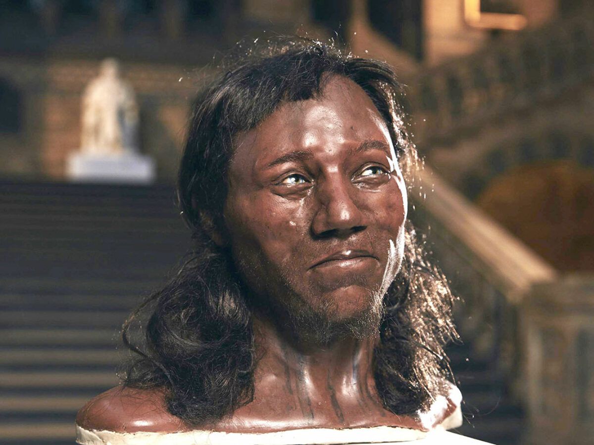 9,000 let star 'Cheddar Man' si deli isti DNK z učiteljem zgodovine angleščine! 5