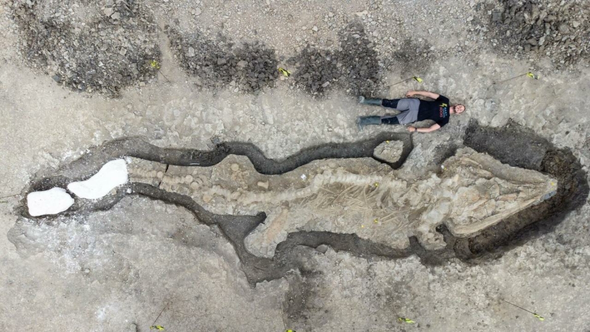 Obří 180 milionů let stará fosilie „mořského draka“ nalezená v britské nádrži 8