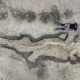 JK rezervuare 180 rasta milžiniška 6 milijonų metų „jūros drakono“ fosilija