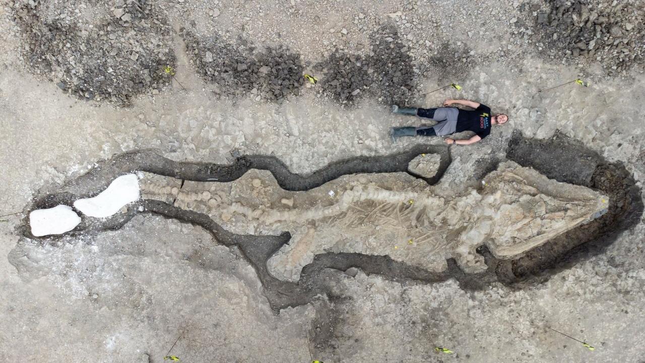 İngiltere rezervuarı 180'te bulunan 2 milyon yıllık dev 'deniz ejderhası' fosili