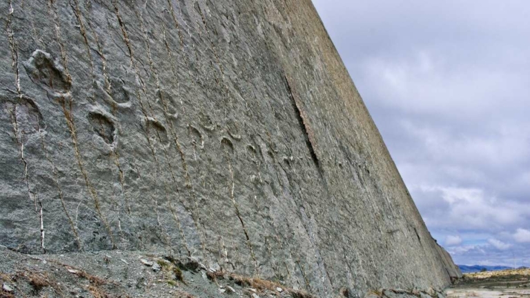 Следи по стената: Наистина ли динозаврите се катереха по скалите в Боливия? 10
