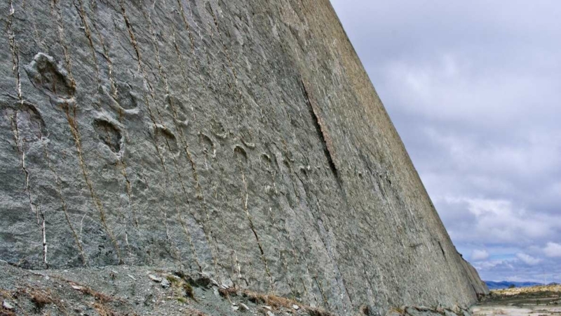 Stopy na stene: Naozaj dinosaury liezli po útesoch v Bolívii? 1