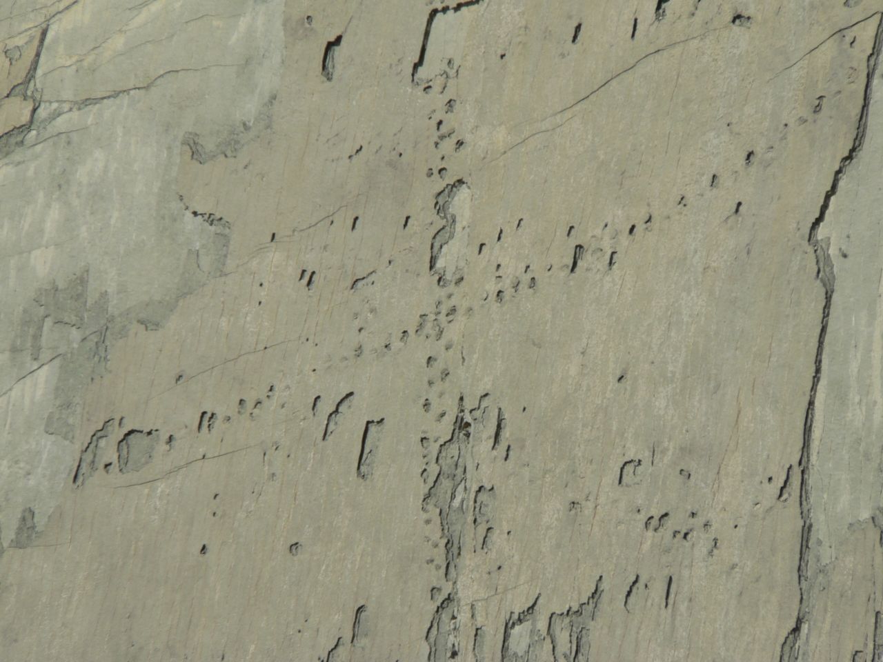 Lábnyomok a falon: Valóban dinoszauruszok másztak fel a sziklákra Bolíviában? 4