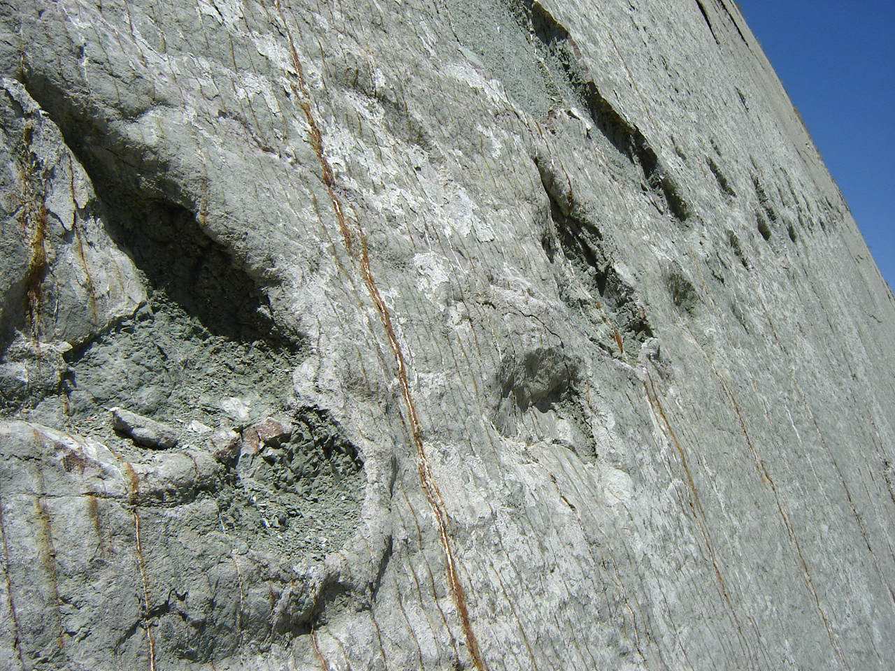 Pėdsakai ant sienos: ar iš tikrųjų dinozaurai lipo į Bolivijos uolas? 3