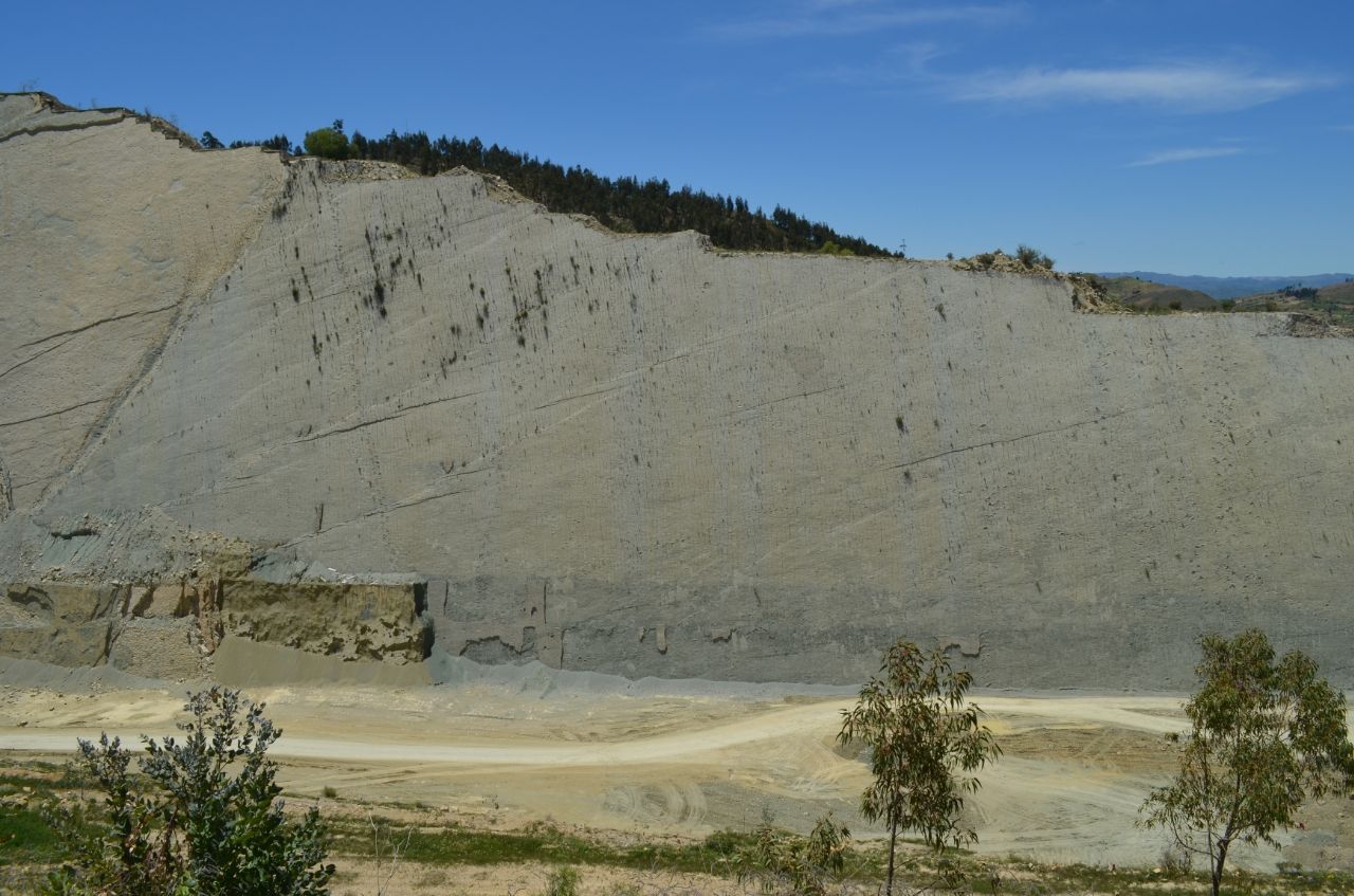 牆上的腳印：恐龍真的在爬玻利維亞的懸崖嗎？ 2
