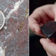 Scientists say recent rock discovery could completely rewrite history about life on Earth 1