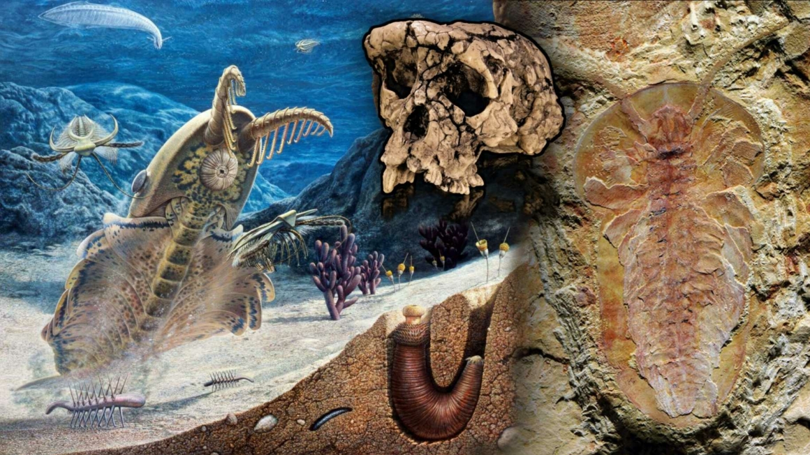 விலங்குகள் மற்றும் மனித உயிர்கள் முதலில் சீனாவில் தோன்றியிருக்கலாம் - 518 மில்லியன் ஆண்டுகள் பழமையான பாறைகள் 7 ஐ பரிந்துரைக்கின்றன