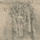 Jätte "skelett av enorm storlek" upptäckta i New Mexico - New York Times artikel från 1902 7