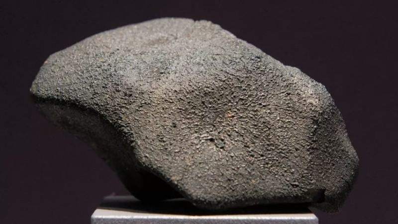 Šiuose meteorituose yra visi DNR 1 blokai