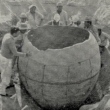 Du har förmodligen aldrig hört talas om en 2,400 4 år gammal gigantisk lervas som grävts fram i Peru XNUMX