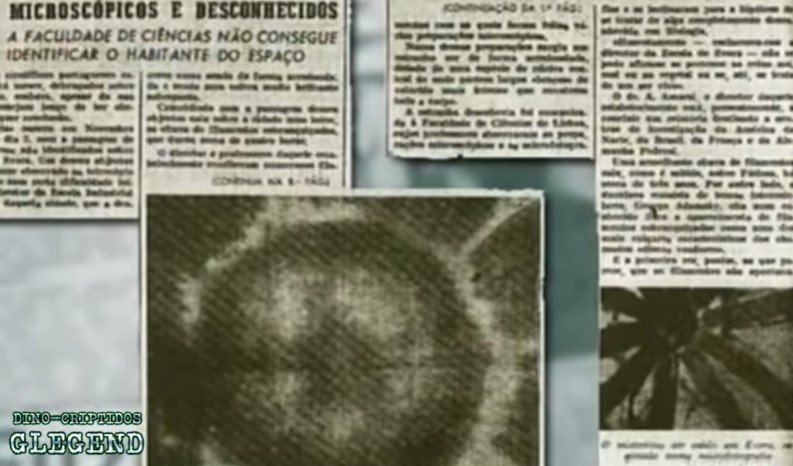 Makhluk Evora: Organisma gergasi luar angkasa di Portugal 5