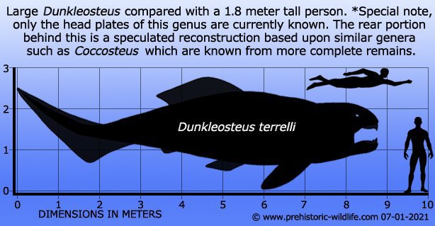 Dunkleosteus: En av de största och häftigaste hajarna för 380 miljoner år sedan 1