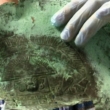 ماسک مرگ پرو باستانی 10,000 سال قبل از میلاد؟ از مواد غیر زمینی ساخته شده است! 6