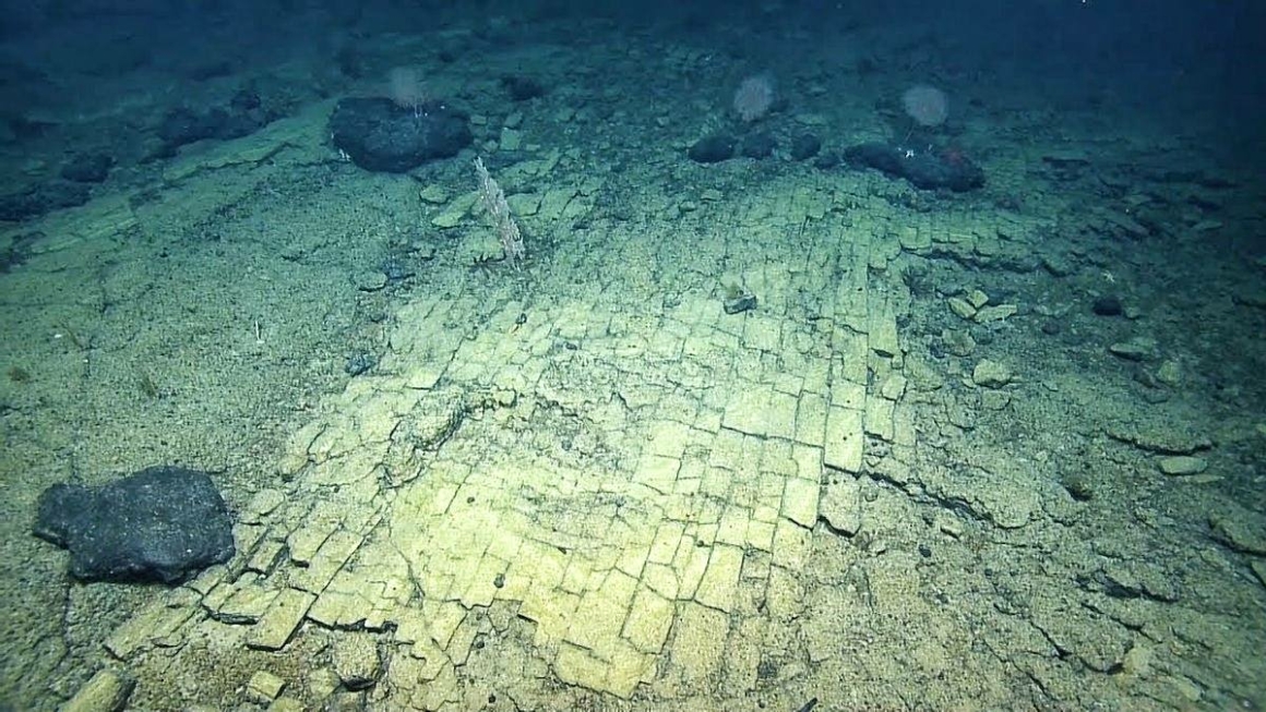 Para saintis mengikuti 'jalan bata kuning' di tempat yang tidak pernah dilihat sebelum ini di lautan Pasifik 8