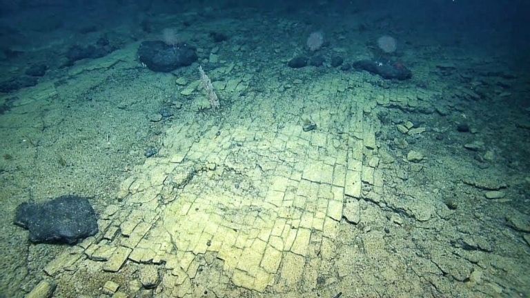 Forskare följer en "gul tegelväg" på en aldrig tidigare skådad plats i Stilla havet 8