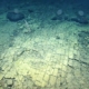 Forskare följer en "gul tegelväg" på en aldrig tidigare skådad plats i Stilla havet 5