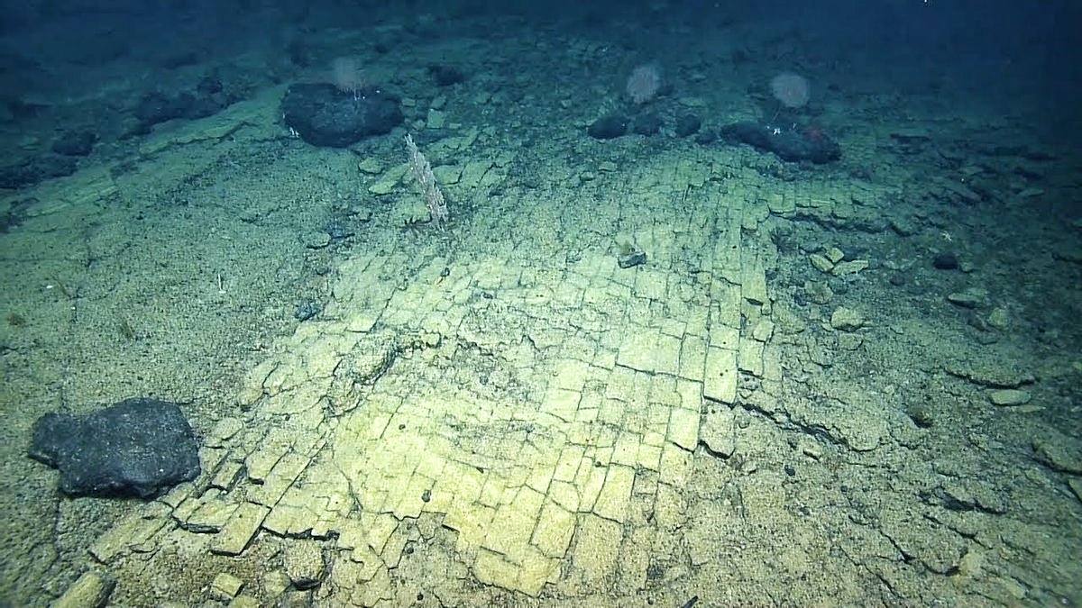 Para saintis mengikuti 'jalan bata kuning' di tempat yang tidak pernah dilihat sebelum ini di lautan Pasifik 2